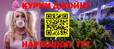 крисы Вязьма