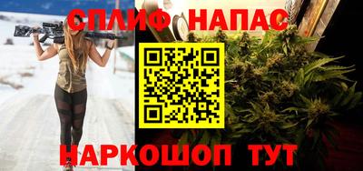 крисы Вязьма