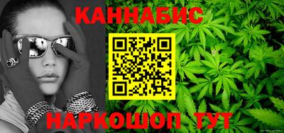 крисы Вязьма