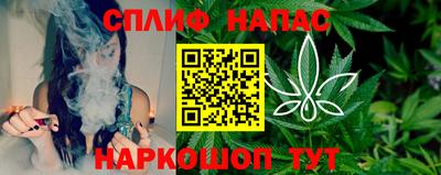 крисы Вязьма