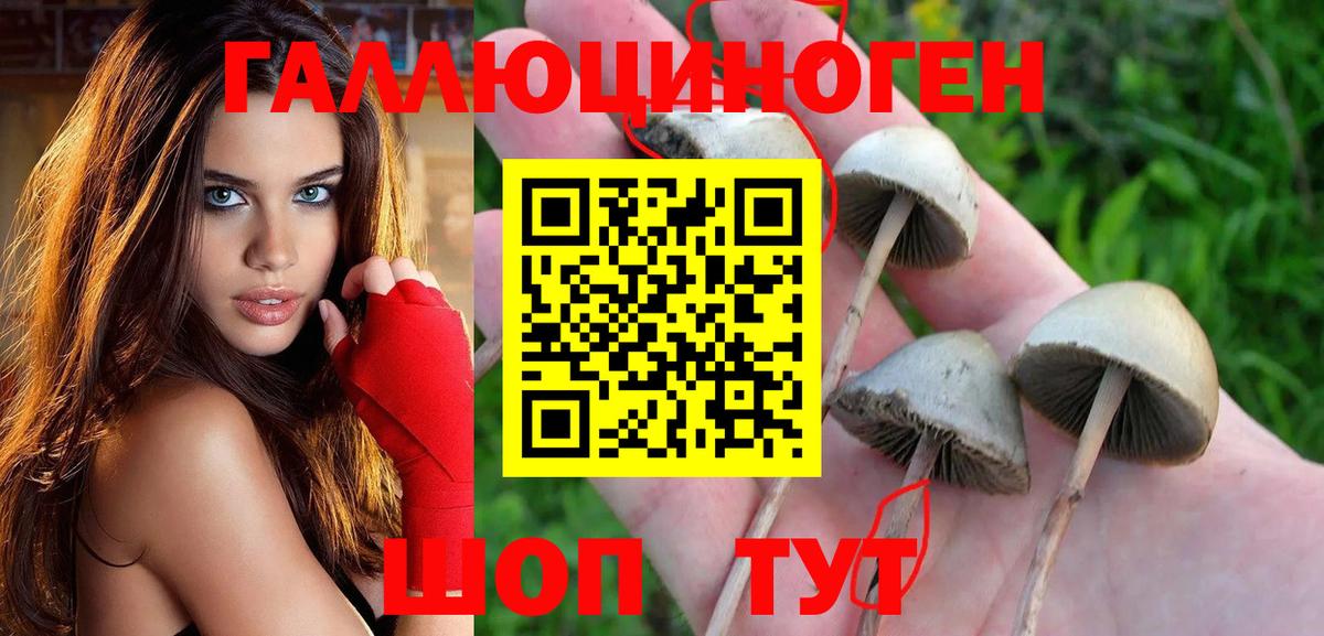Балаково  Галлюциногенные грибы ЛСД  продажа наркотиков  Вход с VPN  Псилоцибиновые грибы Psilocybine cubensis 